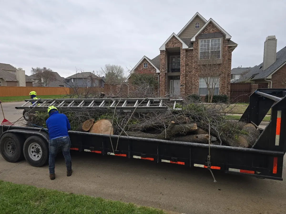 Expert Lot Clearing with proper safety equipment in Likely